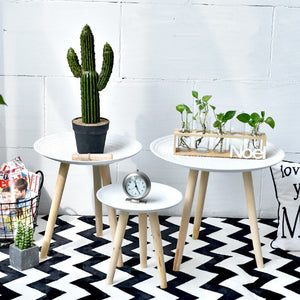 Simple Style Coffee Table